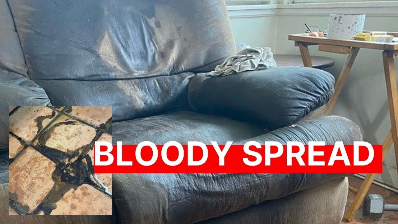 Bloody Spread