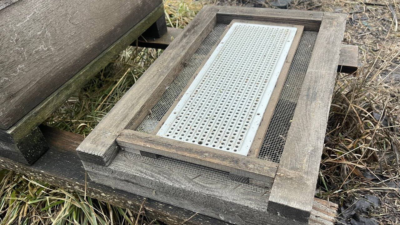 Найдешевше дно пилкозбірник, зробить зможе кожен!