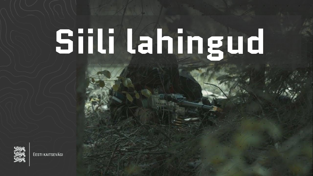 Siili lahingud