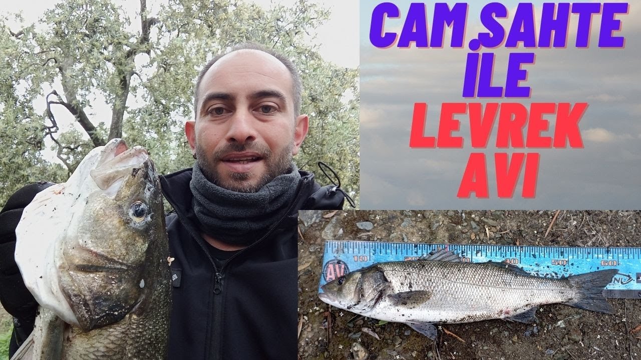 CAM SAHTE İLE LEVREK AVI-SEZON AÇILIŞI