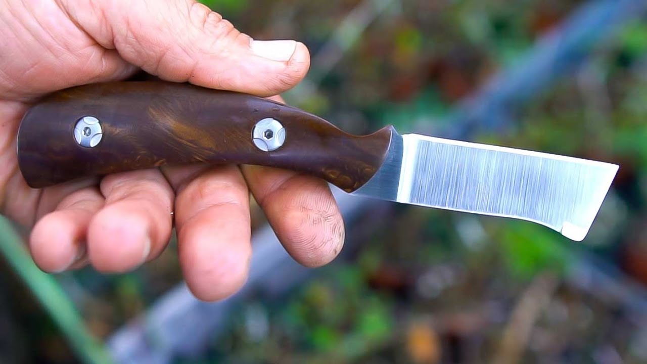 BONSAI Jaboticaba Trees + Grafting Knife GIVE-AWAY from BidNGrow (Plant-Centric Online Marketplace)