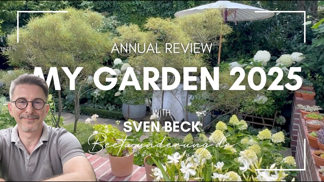 Garden / Garten: beetwunderung.de / Annual review 2025 / Jahresrückblick 2025 - Staudengarten