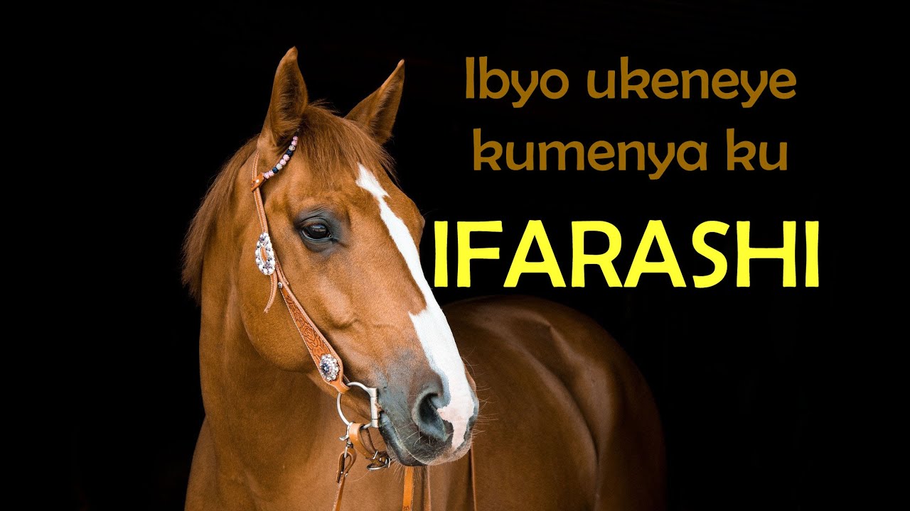 Ibyo wamenya ku IFARASHI / IFARASI