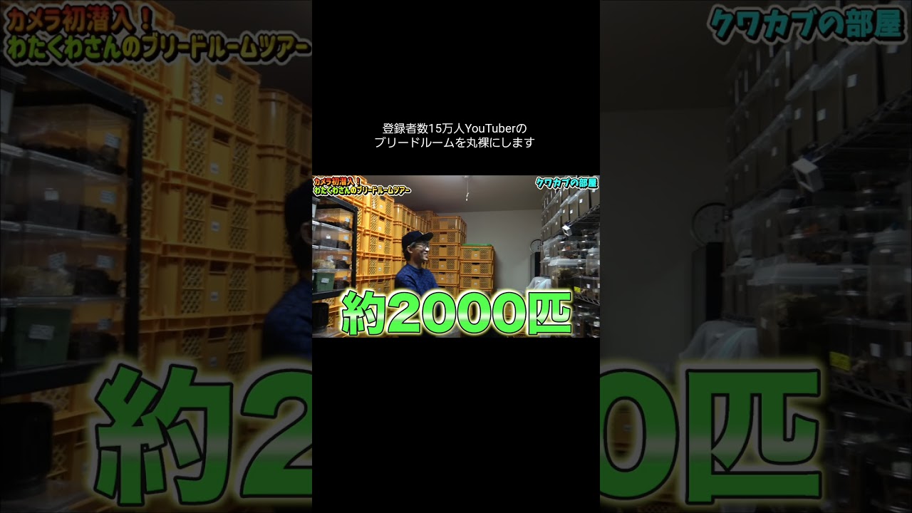 登録者数15万人YouTuberのブリードルームを丸裸にします