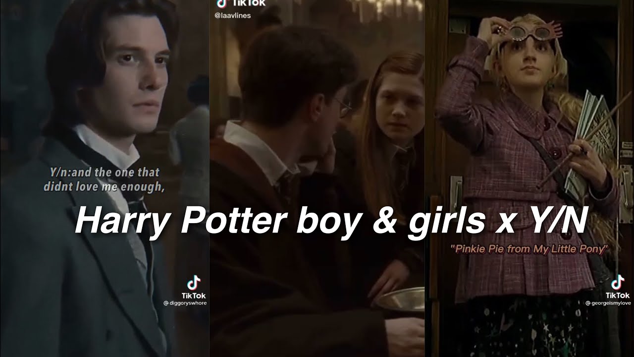 Harry Potter boy & girls x Y/N