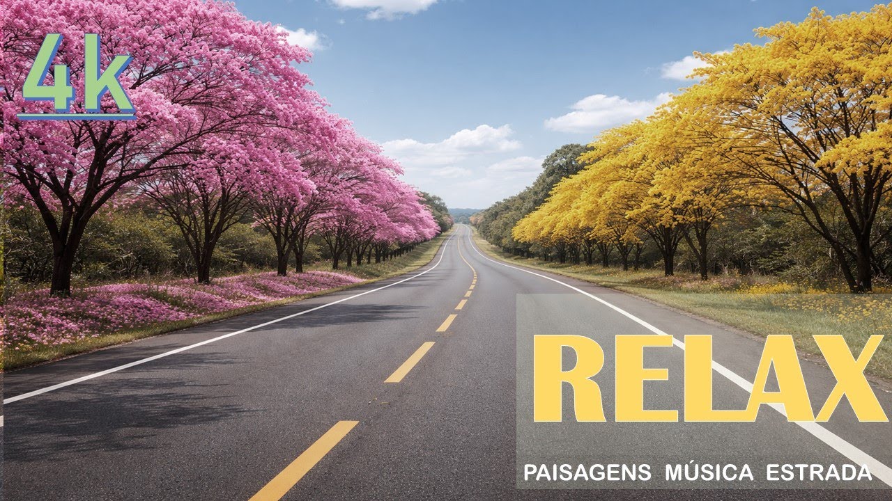 CARRO NA ESTRADA | ESTRADAS LINDA BELAS PAISAGENS SOM DE CARRO NA PISTA LINDAS MÚSICAS 4K