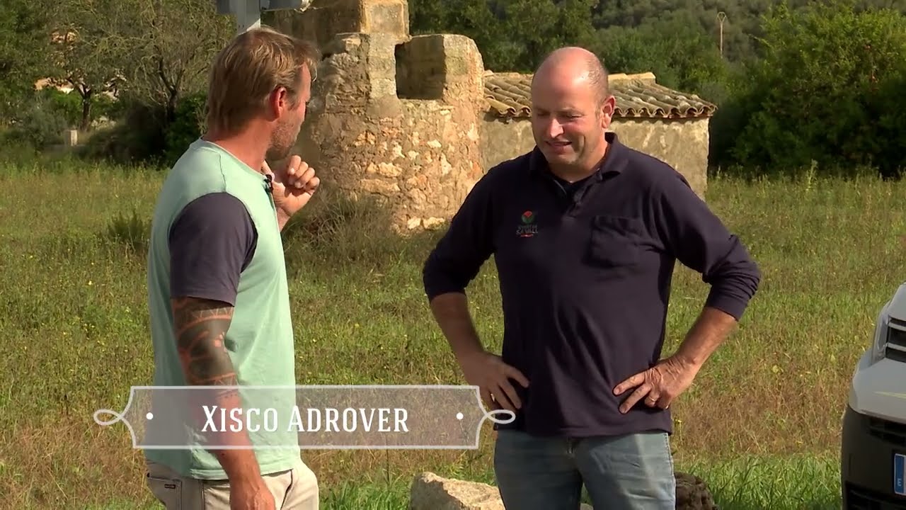 UEP! COM ANAM? [679] - ALMANGRAR OVELLES, CONSEQÜÈNCIES PRIMERES PLUGES I LLIBRETS FARCITS