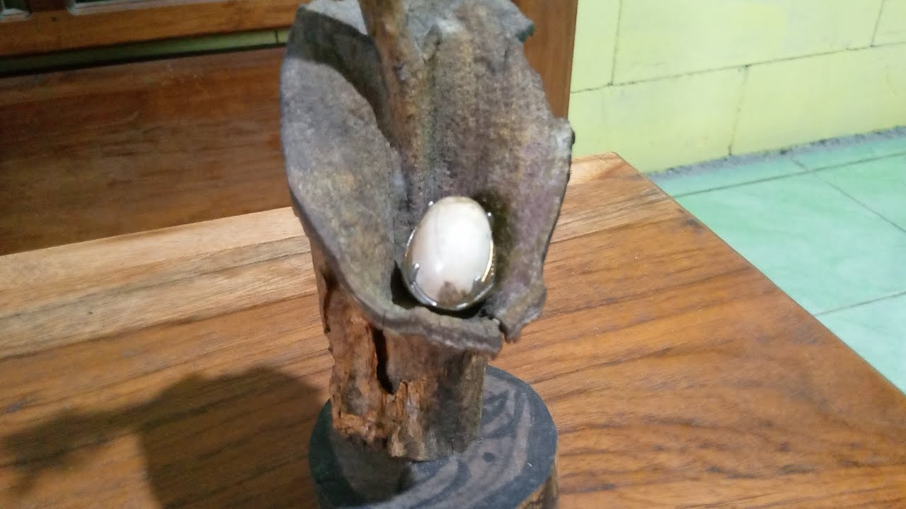 Selamat Sore Menjelang Petang