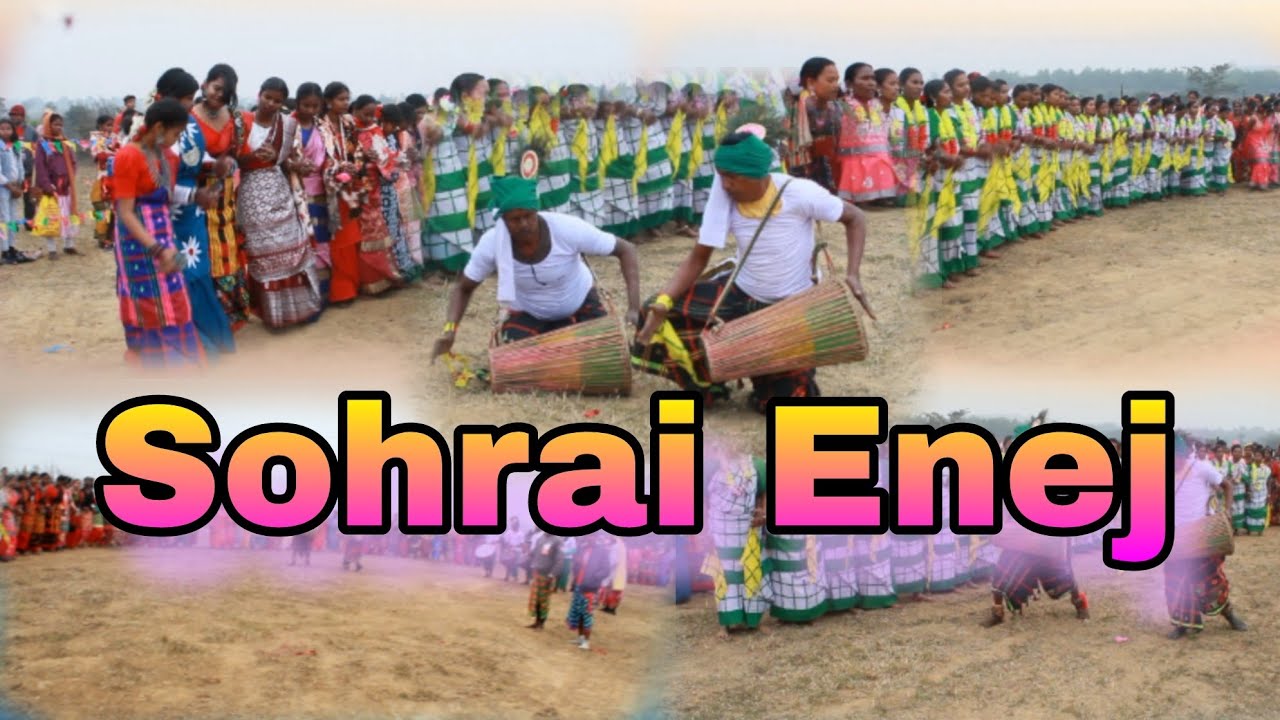 Sohrai Enej | Sat Sikar Disom | New Traditional Dance Video 2024