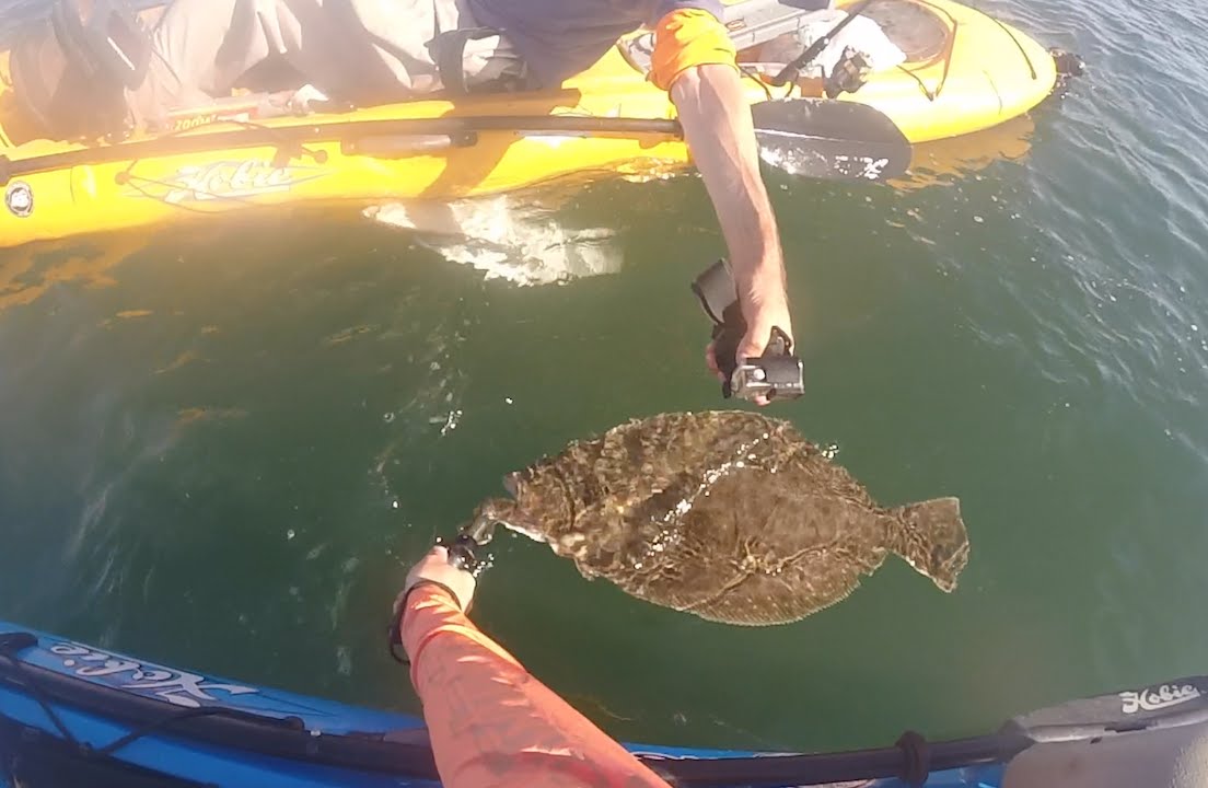 New Jersey 10 lb Kayak Fluke!