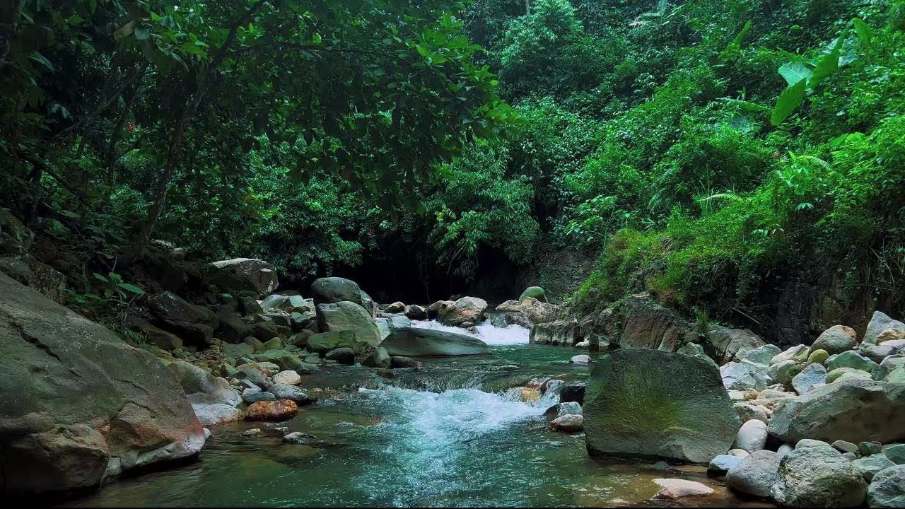 4K-HDR | Healing River Water Sounds for Sleep & Calm Mind | Natural Flow Ambience for Relaxation