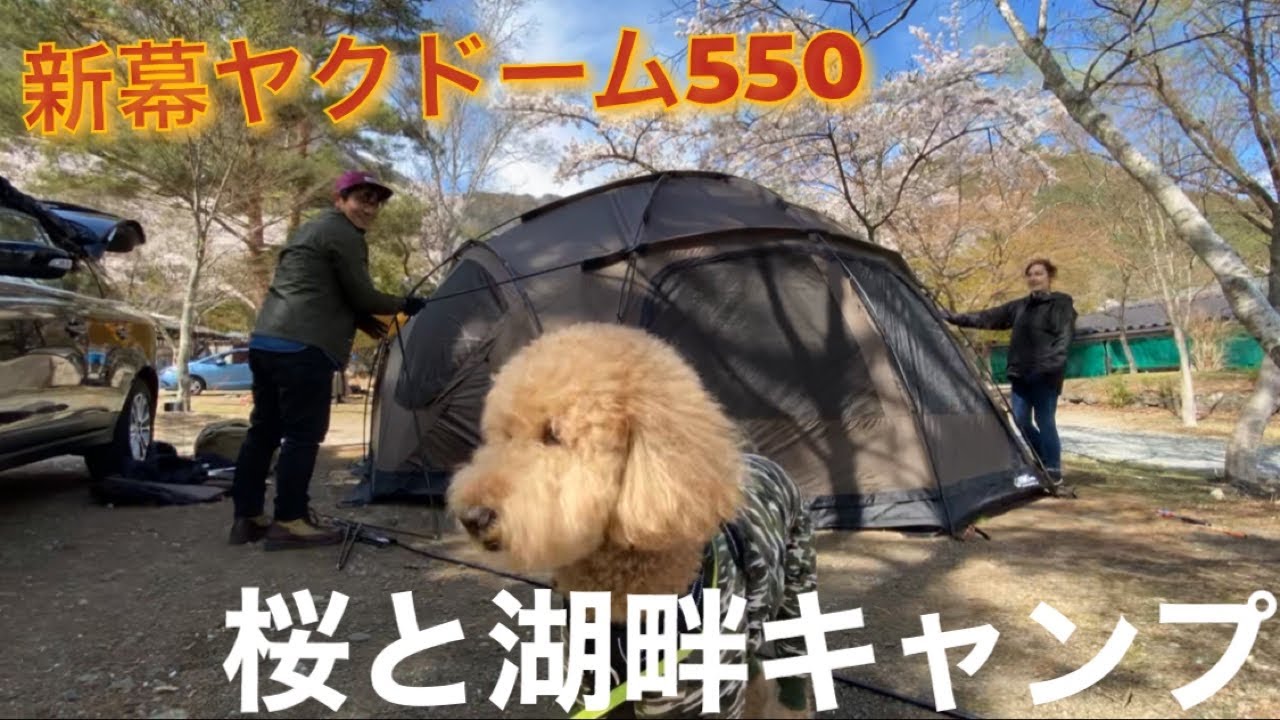 新幕WIWOヤクドームで愛犬とキャンプしたら快適すぎて最高だった