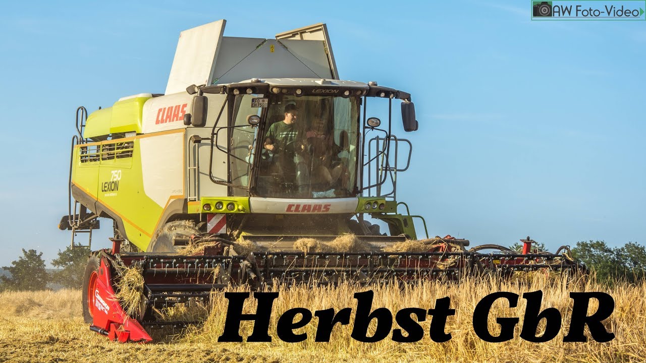 Herbst GbR ► Getreidedrusch mit CLAAS LEXION 750 mit GERINGHOFF Schneidwerk