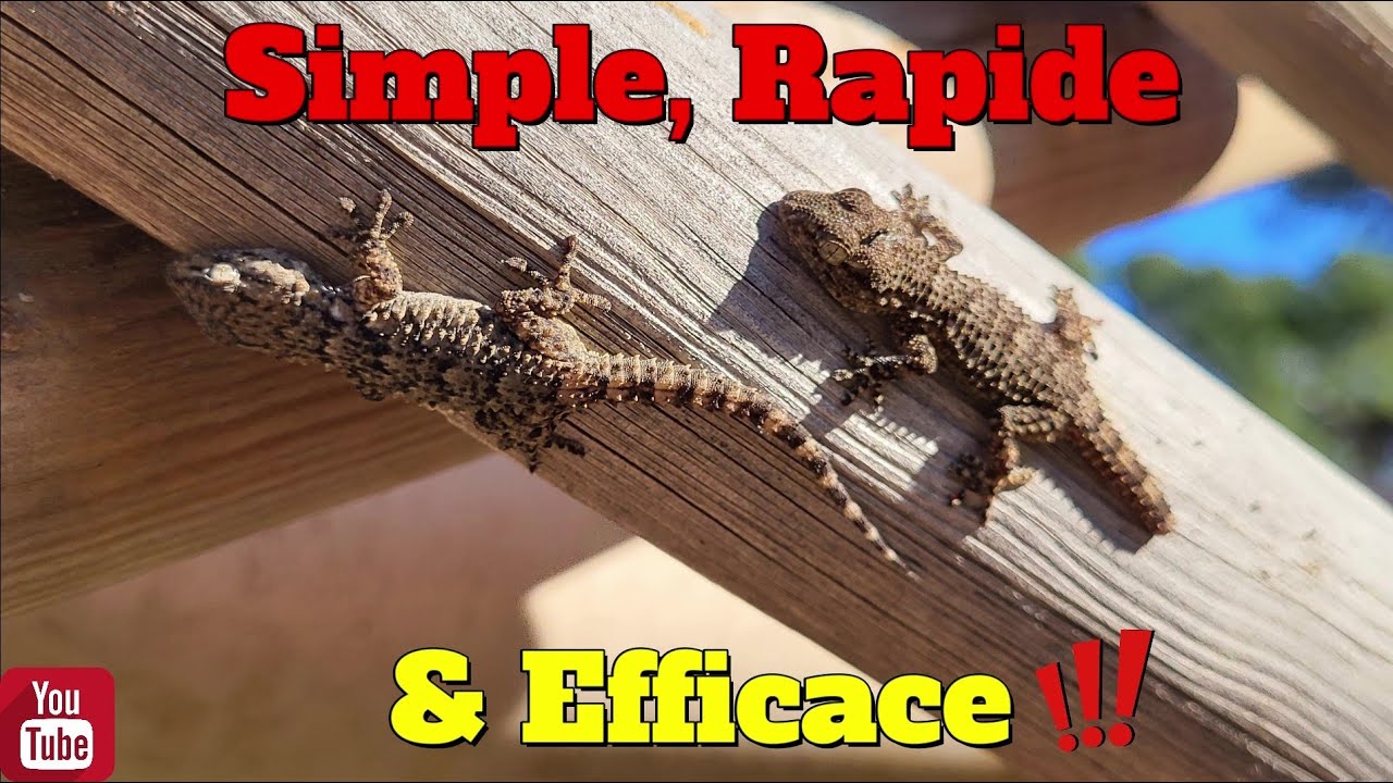 Simple, rapide et efficace au potager !!