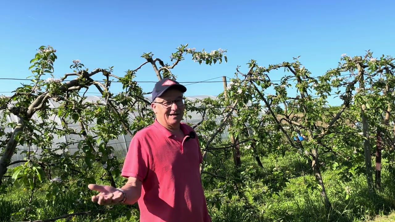 Légumes Rossier, en recherche d'équilibre