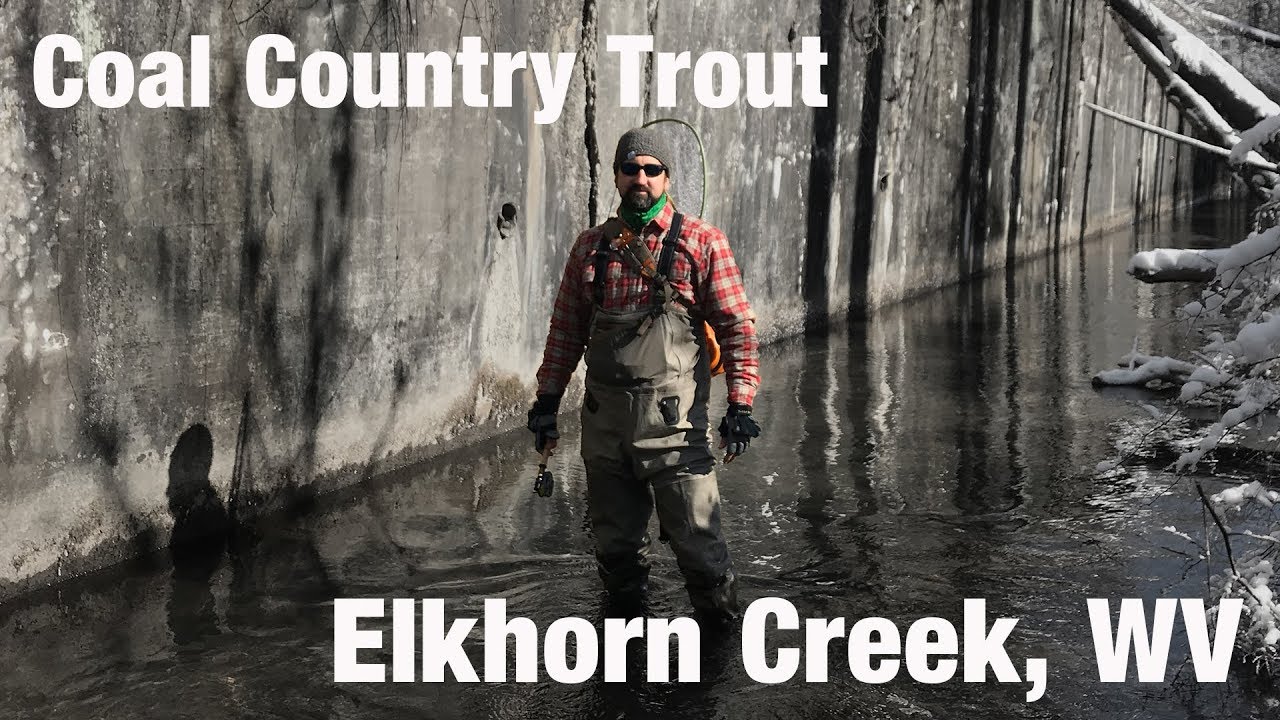 Coal Country Trout, Elkhorn Creek, WV - Wooly Bugged