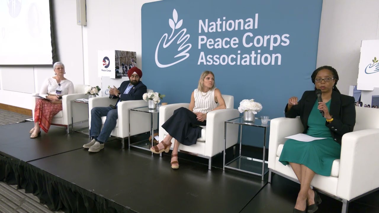 Peace Corps to Politics