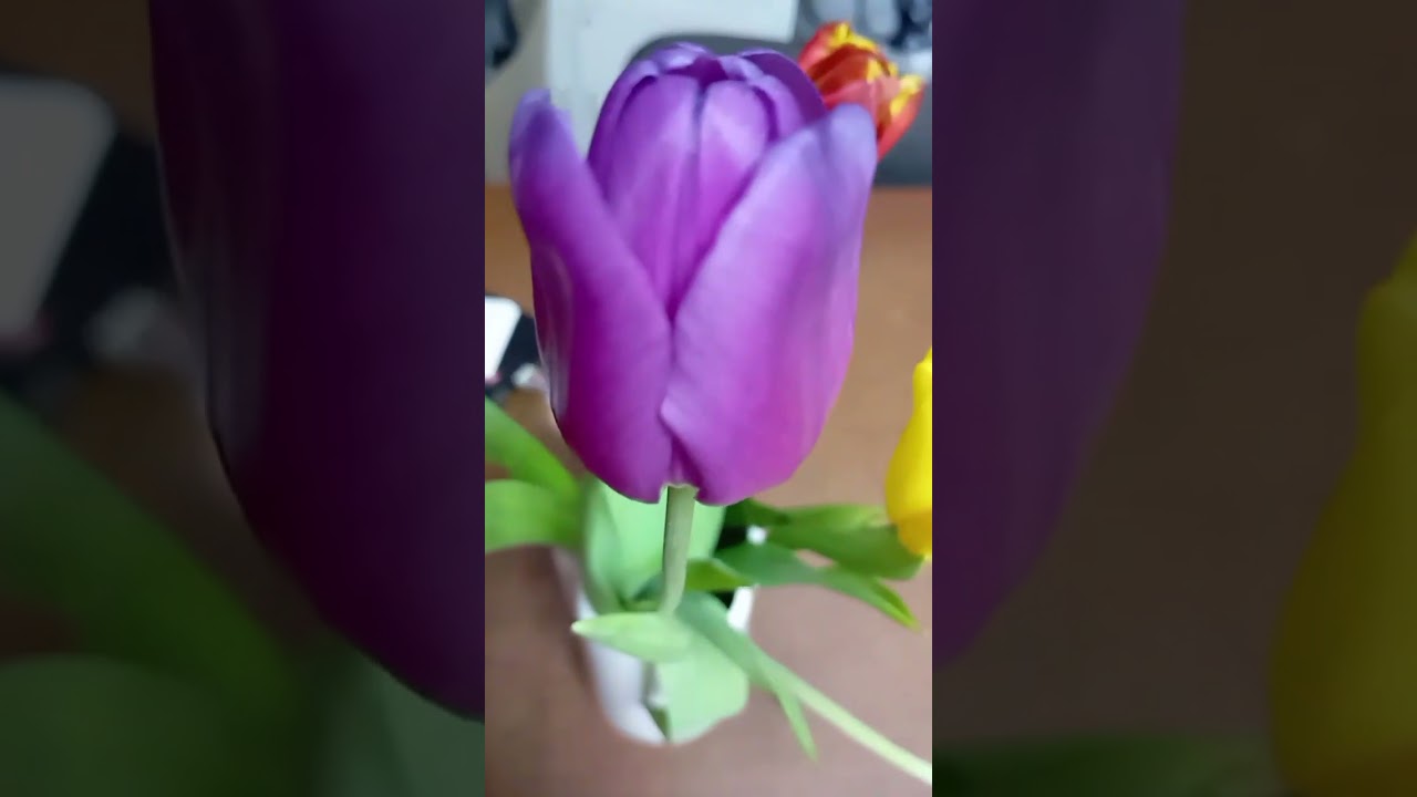 Вот мой день рабочий