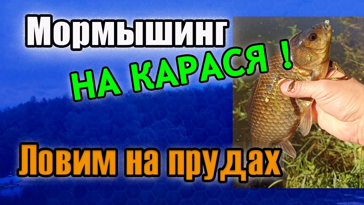 Мормышинг на Карася! Ловим на прудах.
