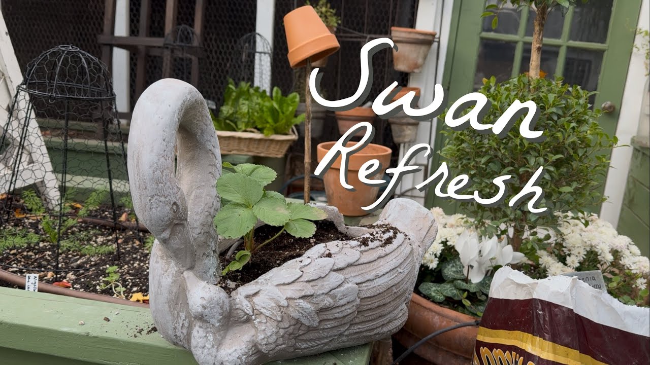 Fall Color in the Garden & Refreshing a Container  🍓 || Visit Our Garden