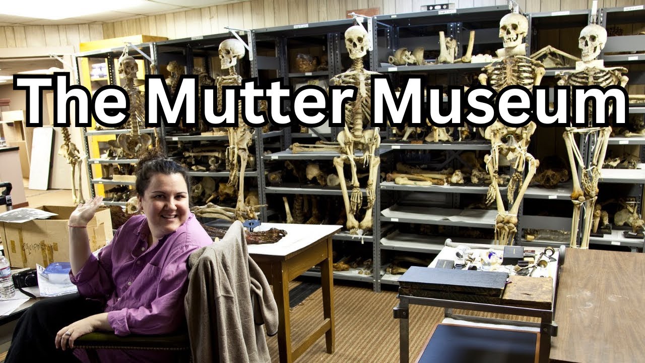 Discover the Strange Wonders of M&uuml;tter Museum