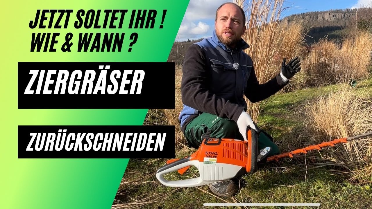 Wann und Wie Gräser Schneiden ? Jetzt Ziergräser zurückschneiden !