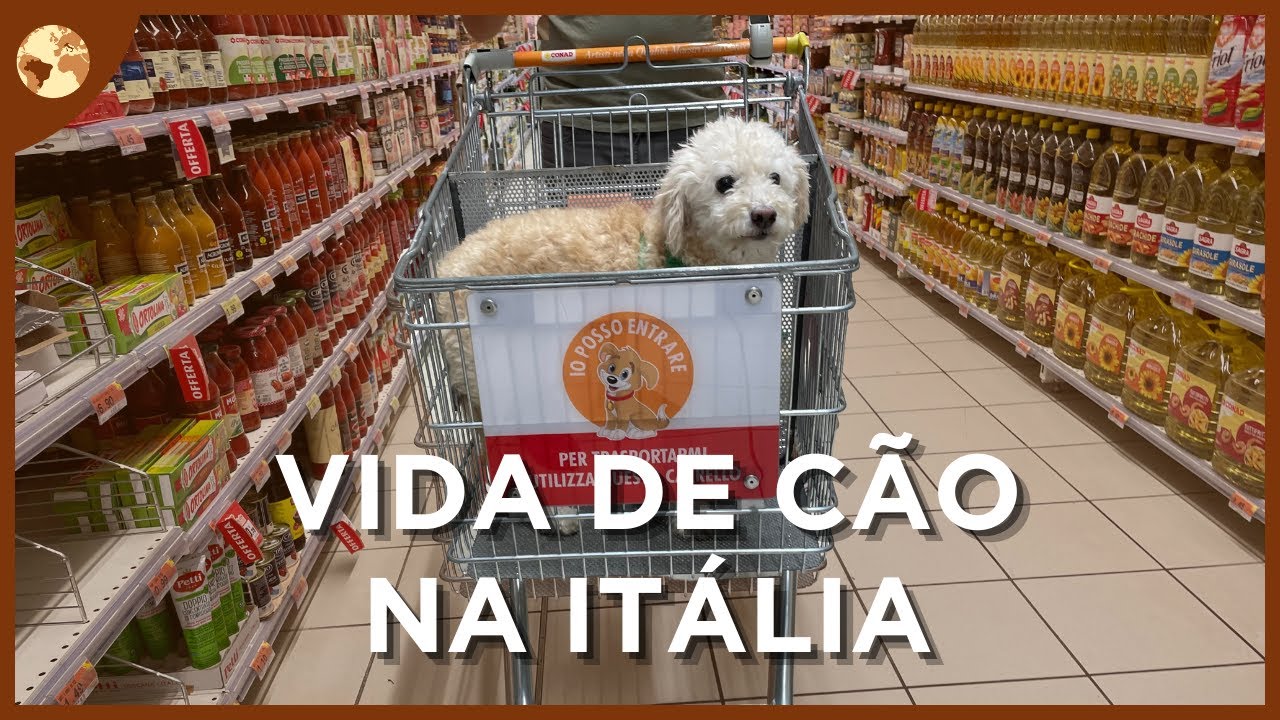 ✨ Como é ter cachorro na Itália? | Pet na Itália