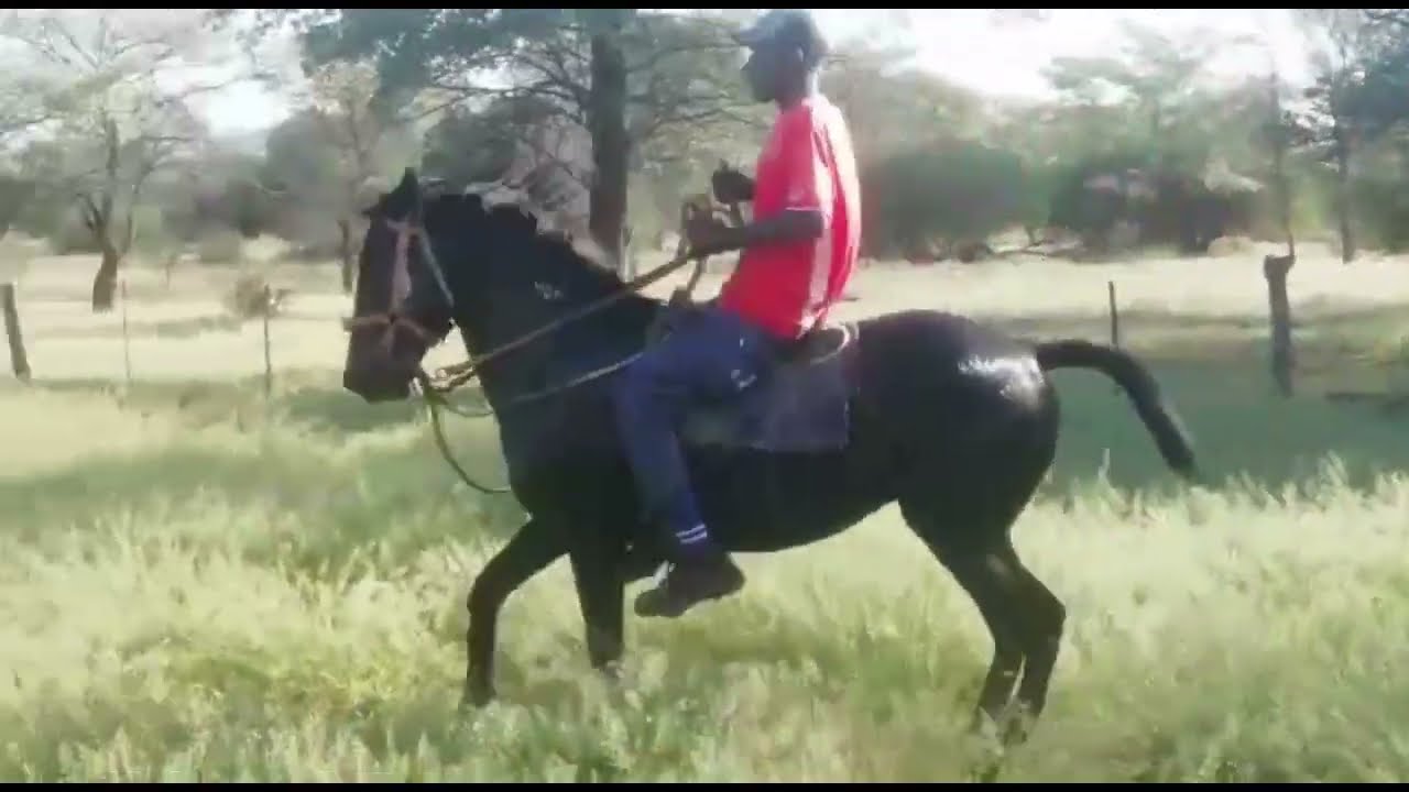 [ WATCH TILL THE END ] OVAHERERO HORSE PARADE COMPILATION