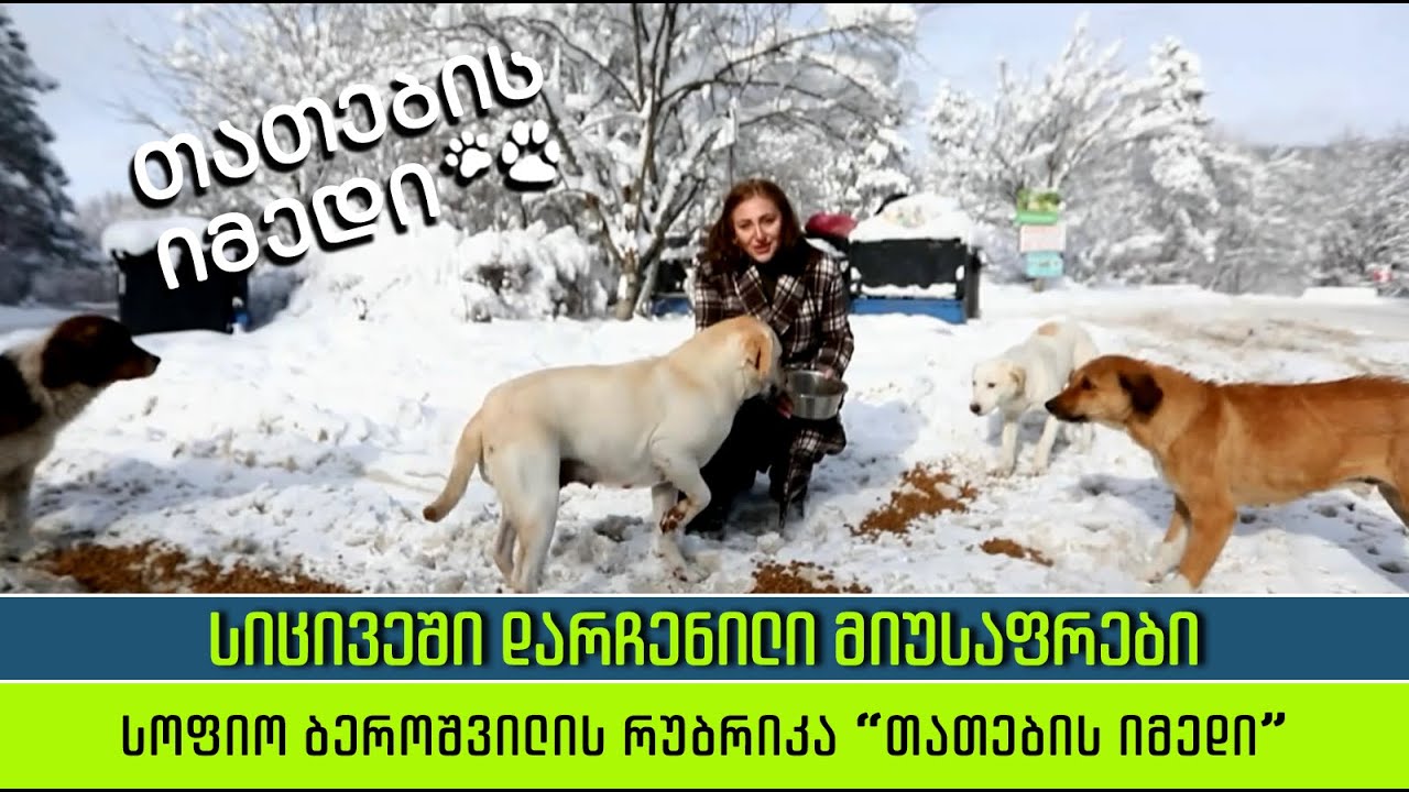 სიცივეში დარჩენილი მიუსაფრები