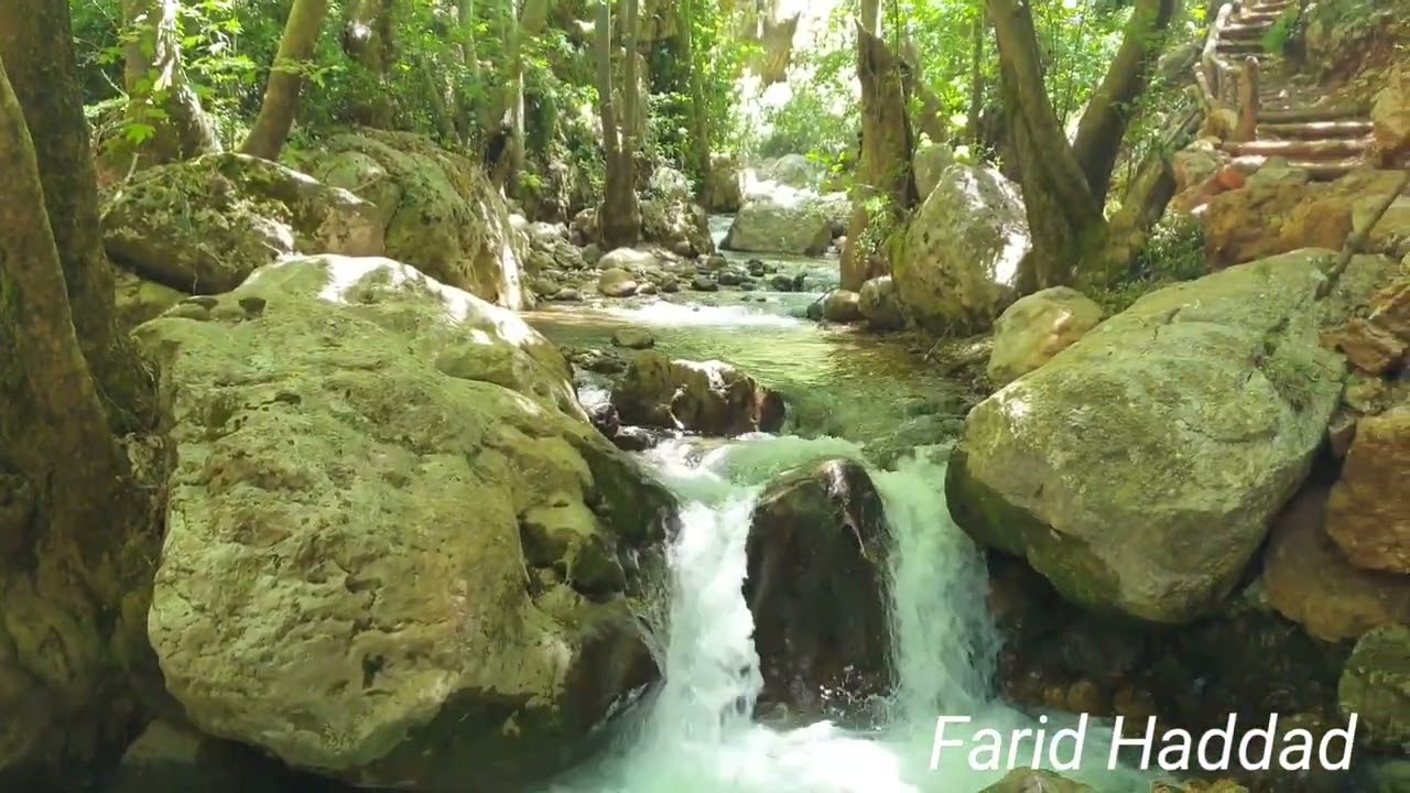 نهر الجوز / درب المسيلحة / قضاء البترون