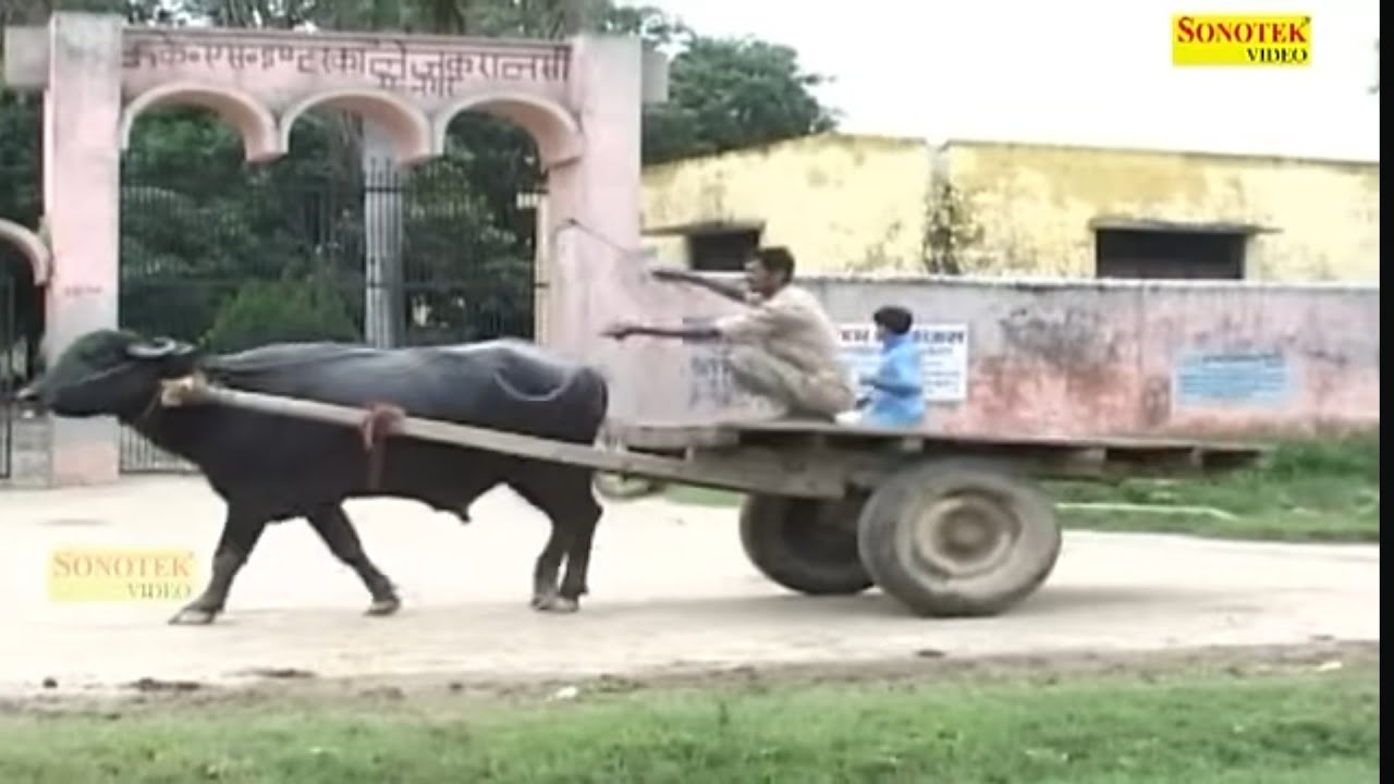 Dhakad chora part 2 vh school jha mannu padta tha or ve school ki deevare jhasekudhkarschoolmeenter 