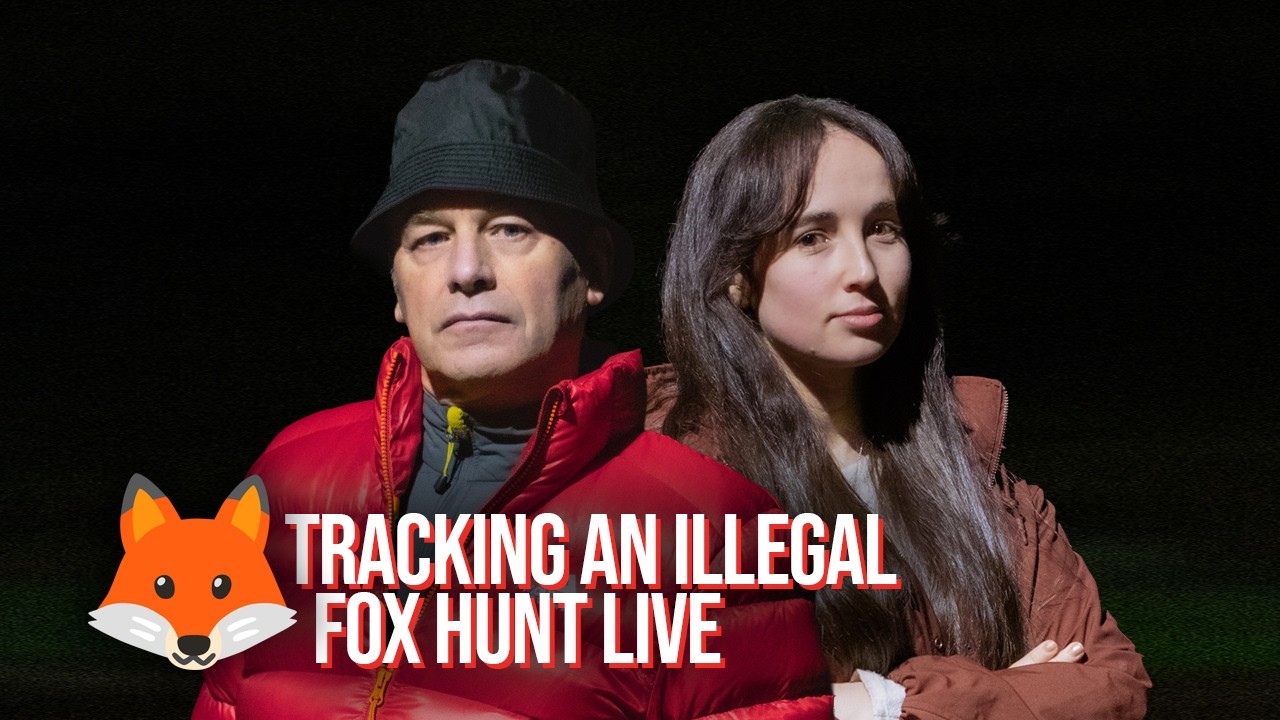 Tracking An Illegal Fox Hunt LIVE | Operation Smokescreen