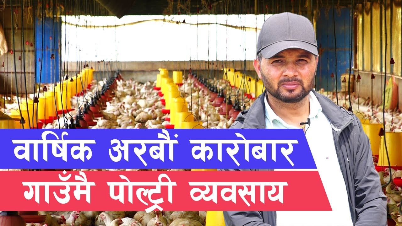 १ लाखबाट शुरु भएको पोल्ट्री व्यवसाय अर्बौको बन्यो || Poultry Farming in Nepal ||