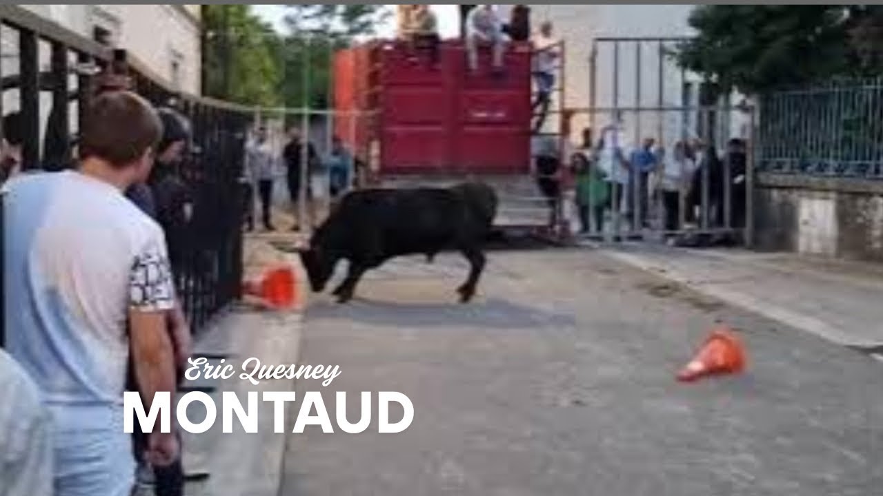 EN DIRECT Encierro Montaud le 30 juin 2023