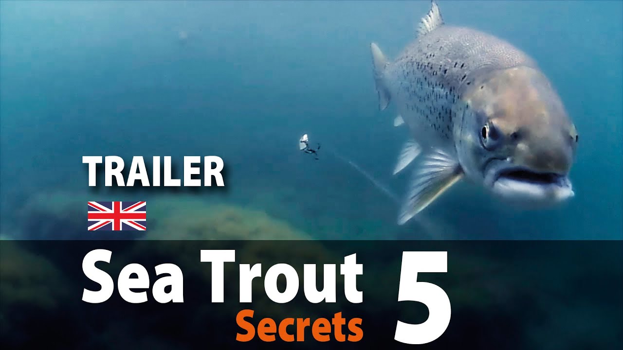 Sea Trout Secrets 5 Spin fishing &bull; Trailer