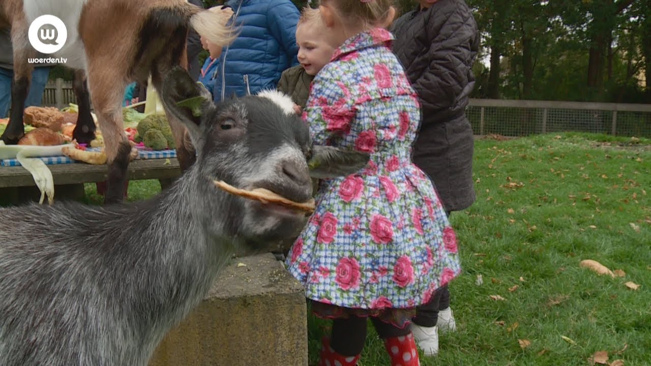 Dierendag Kukele-Boe| Woerden.TV