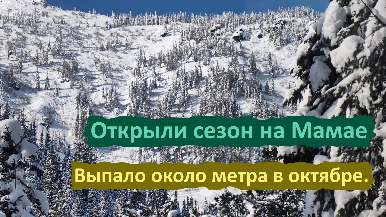 Запнулся об сноуборд и открыл сезон. #мамай #фрирайд #powder