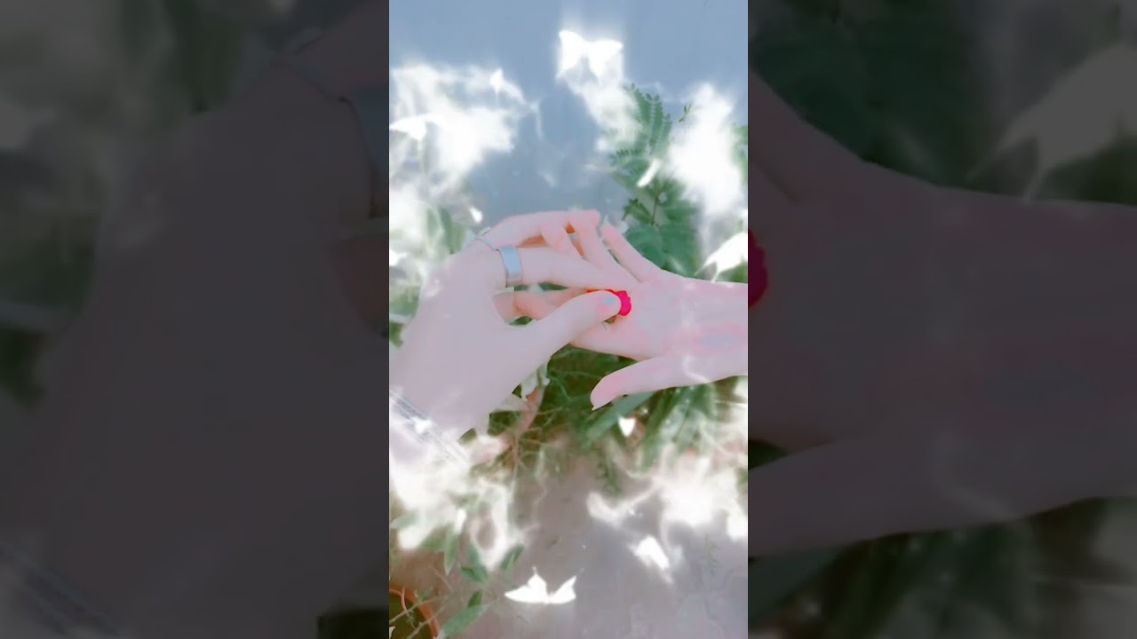 Meray yara 🫀 #subscribe #shortsvideo #shorts_status224