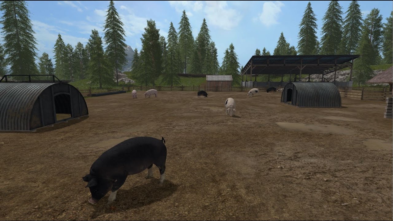 LS17 - Schweine kaufen und mit dem Tier Transporter zum Gehege brinden.