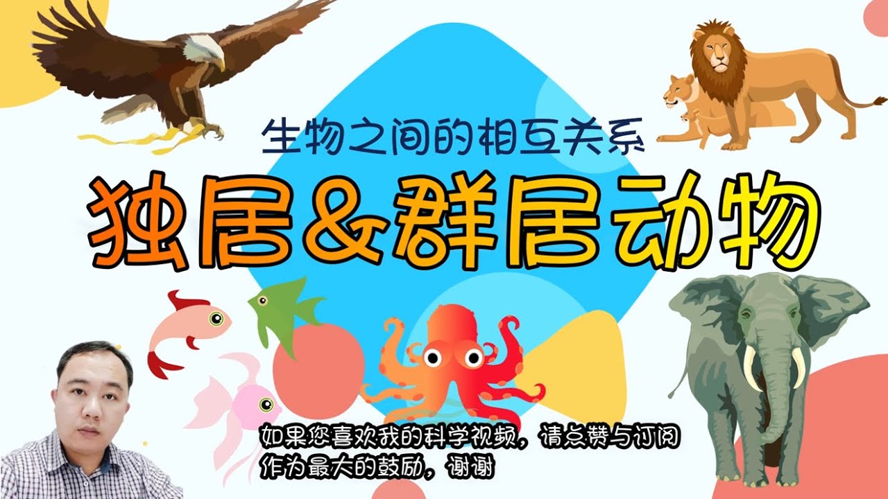 【独居动物&群居动物】|【生物之间的相互关系 PART 1/2】| 6年级 | TSLAU