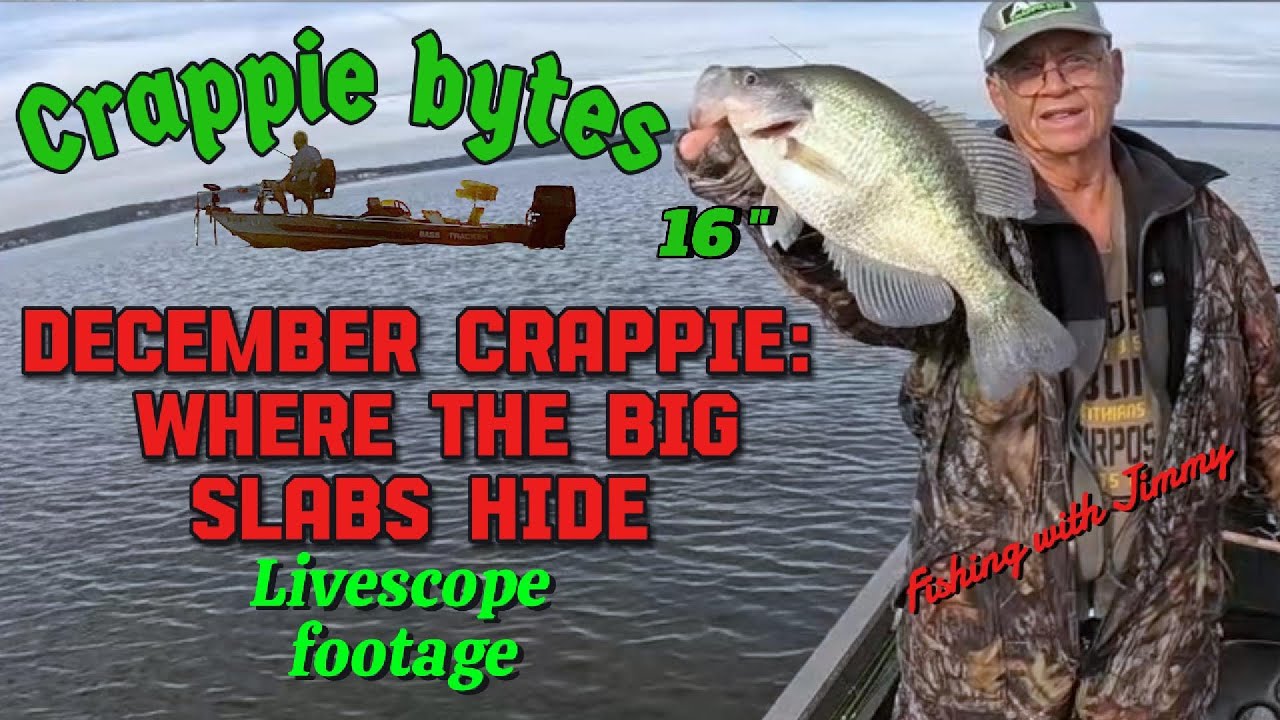 December Crappie, Where the BIG SLABS hide #livescope #crappiefishing #fallcrappie