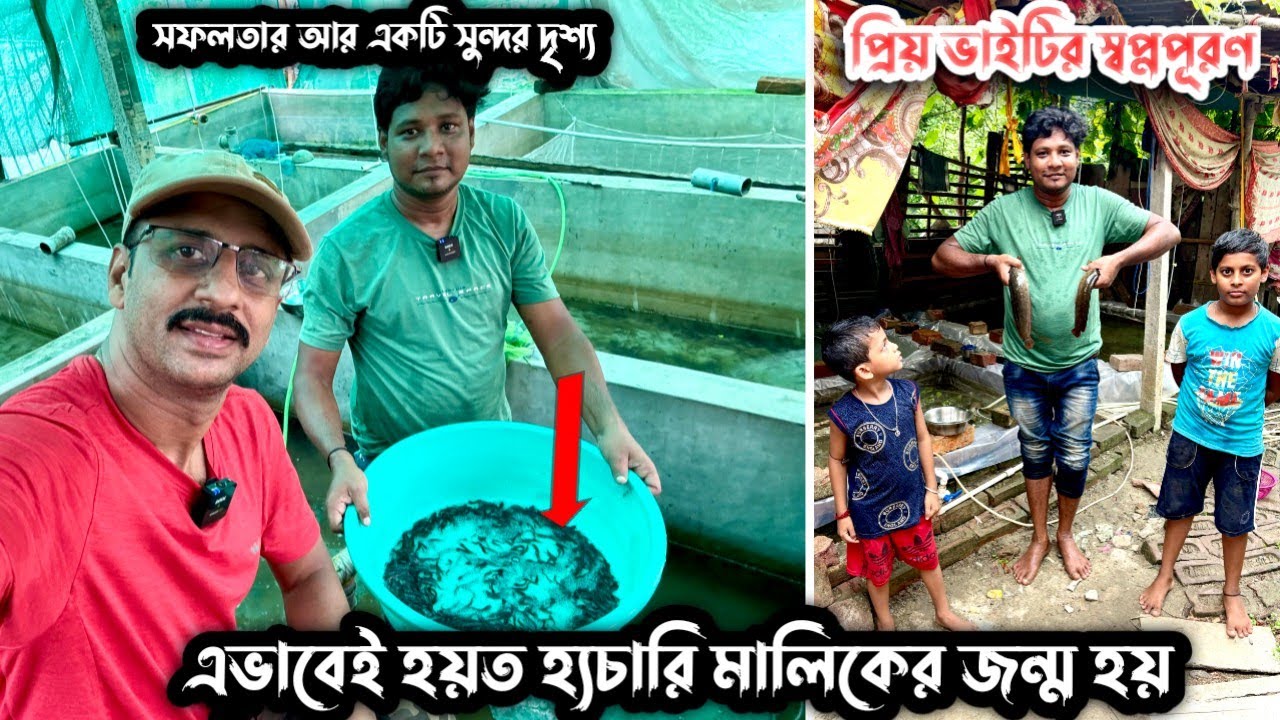 এক লাখেরও বেশি শিঙি মাগুর চারা তৈরি করে সুখেন ভাই-এর বছর শুরু // Fish breeding 
