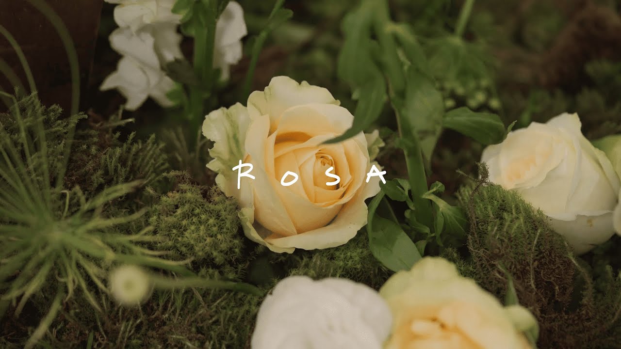 Marina Gold - Rosa (Visualizer Oficial)