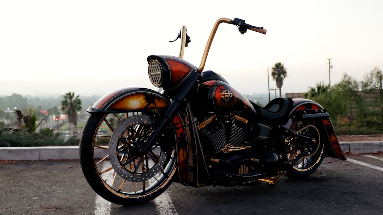 OUR LATEST KINGTAIL - DIRTBAGS CALIFORNIA