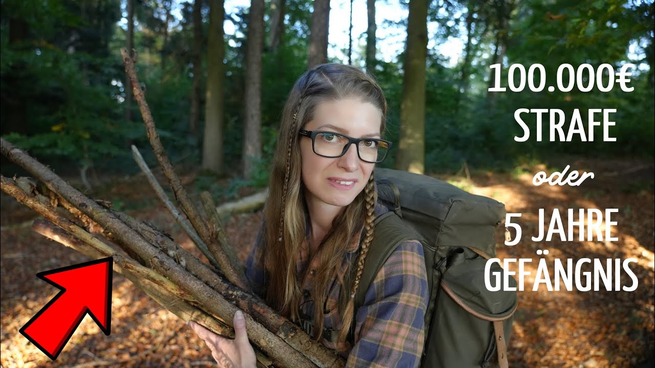 🌳100.000€ Höchststrafe ⁉️​ Holz im Wald sammeln..So machst du´s legal⛔Hättest du´s gewusst?​​​🌲​