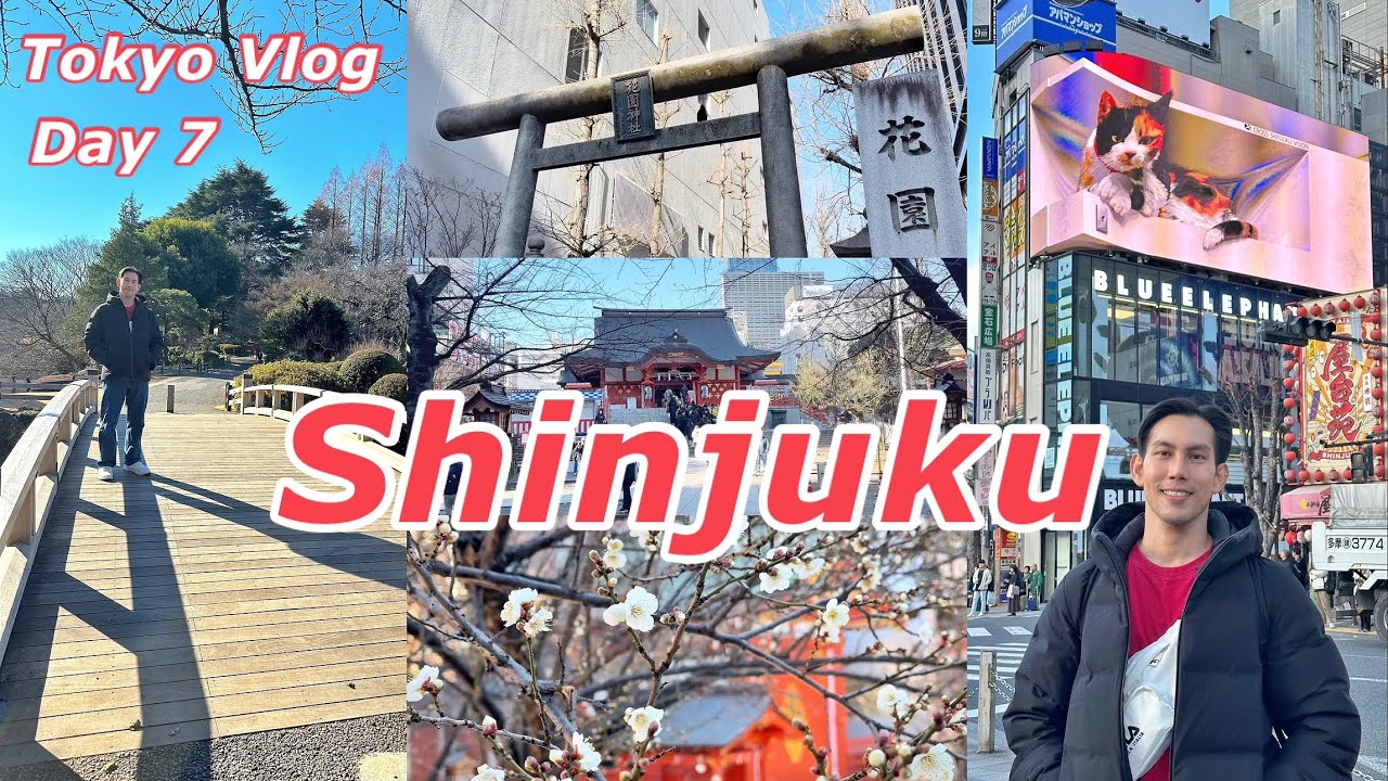 เที่ยวอุทยานแห่งชาติชินจูกุเกียวเอน | ศาลเจ้า Hanazono | แหล่งช็อปปิ้งย่านชินจูกุ - Tokyo Vlog Day 7