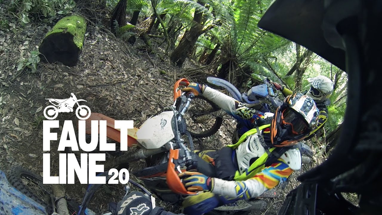 Awesome ascending rainforest trail - Dirt Trax Tasmania