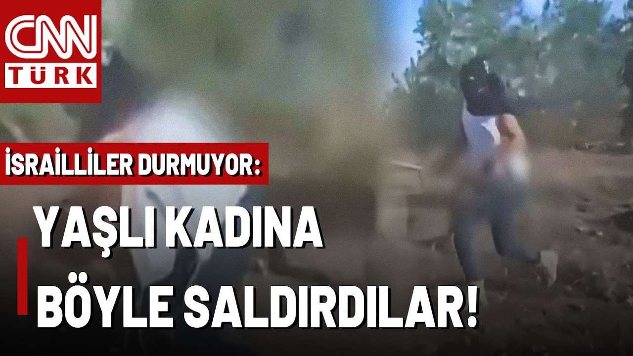 Katliam Sadece Gazze'de Değil! İşgalci İsrailliler Batı Şeria'da Zeytinliklere Saldırıyor