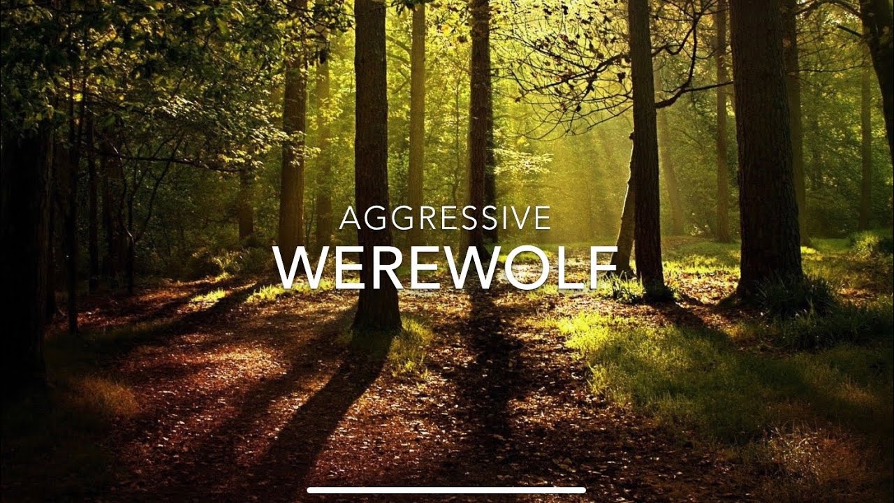Aggressive werewolf boy takes care of you in the woods (ASMR Storytelling)