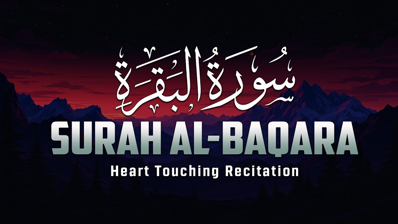رح سمعك وقلبك بالقرآن❤️🎧 وأستمع لتلاوة هادئه بصوت محمد ديبيروف | راحة نفسية😌 | Muhammad Dibirov
